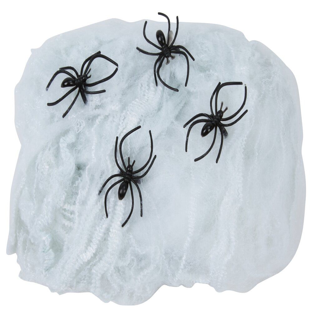 Toile blanche avec 4 araignées