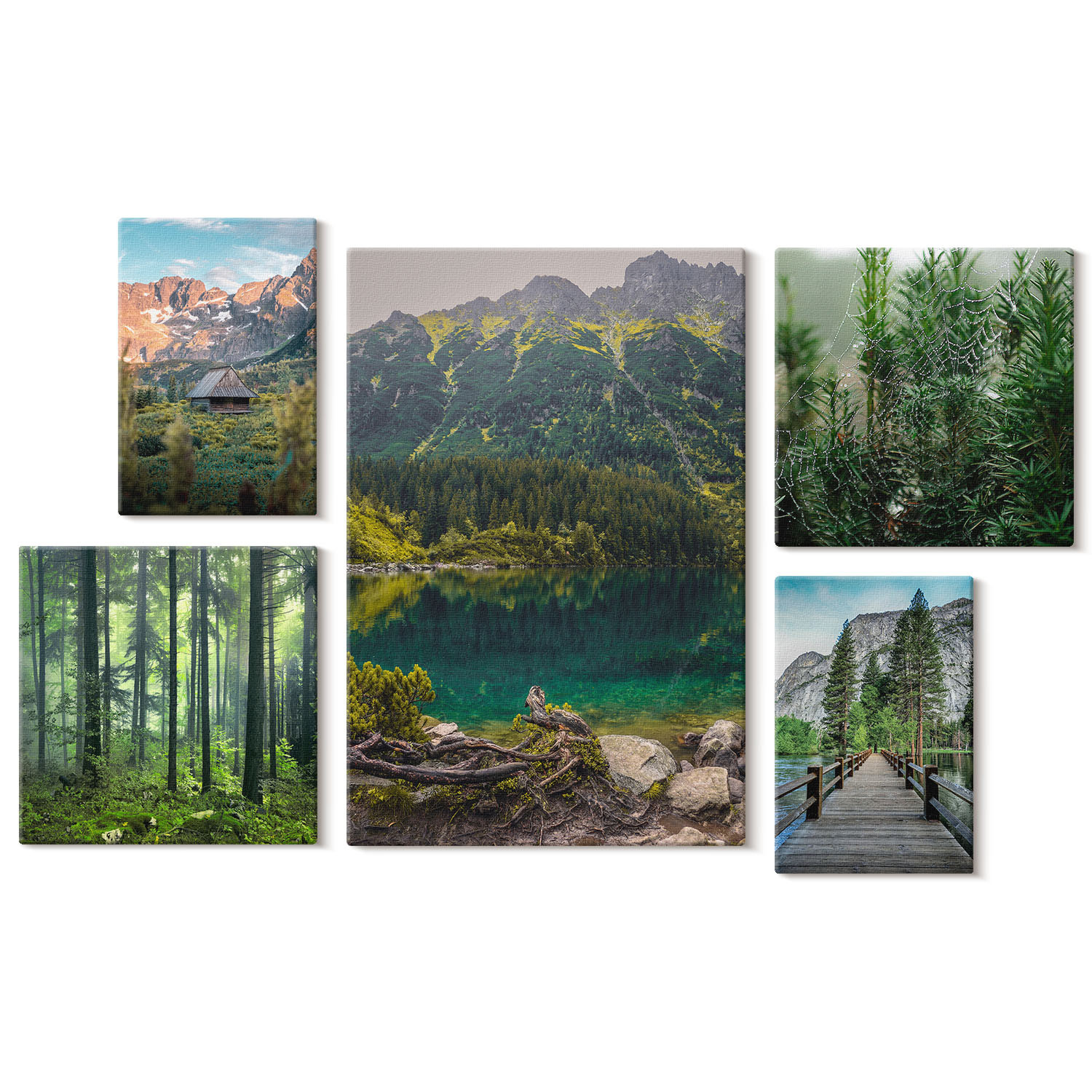 Obraz canvas 5 części Góry i lasy|20x30, 30x30, 40x60|Wallfluent