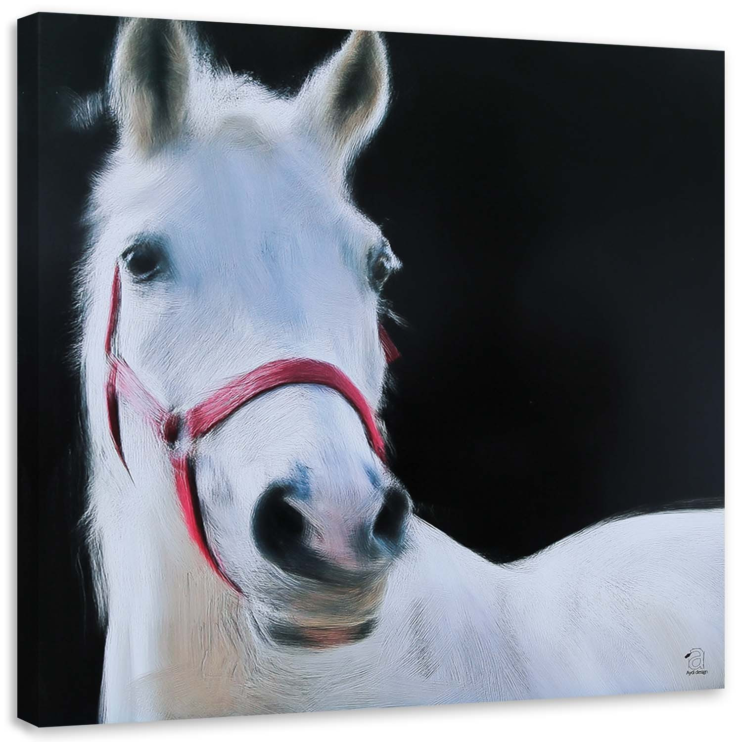 Feeby Obraz na płótnie Biała głowa konia 30x30