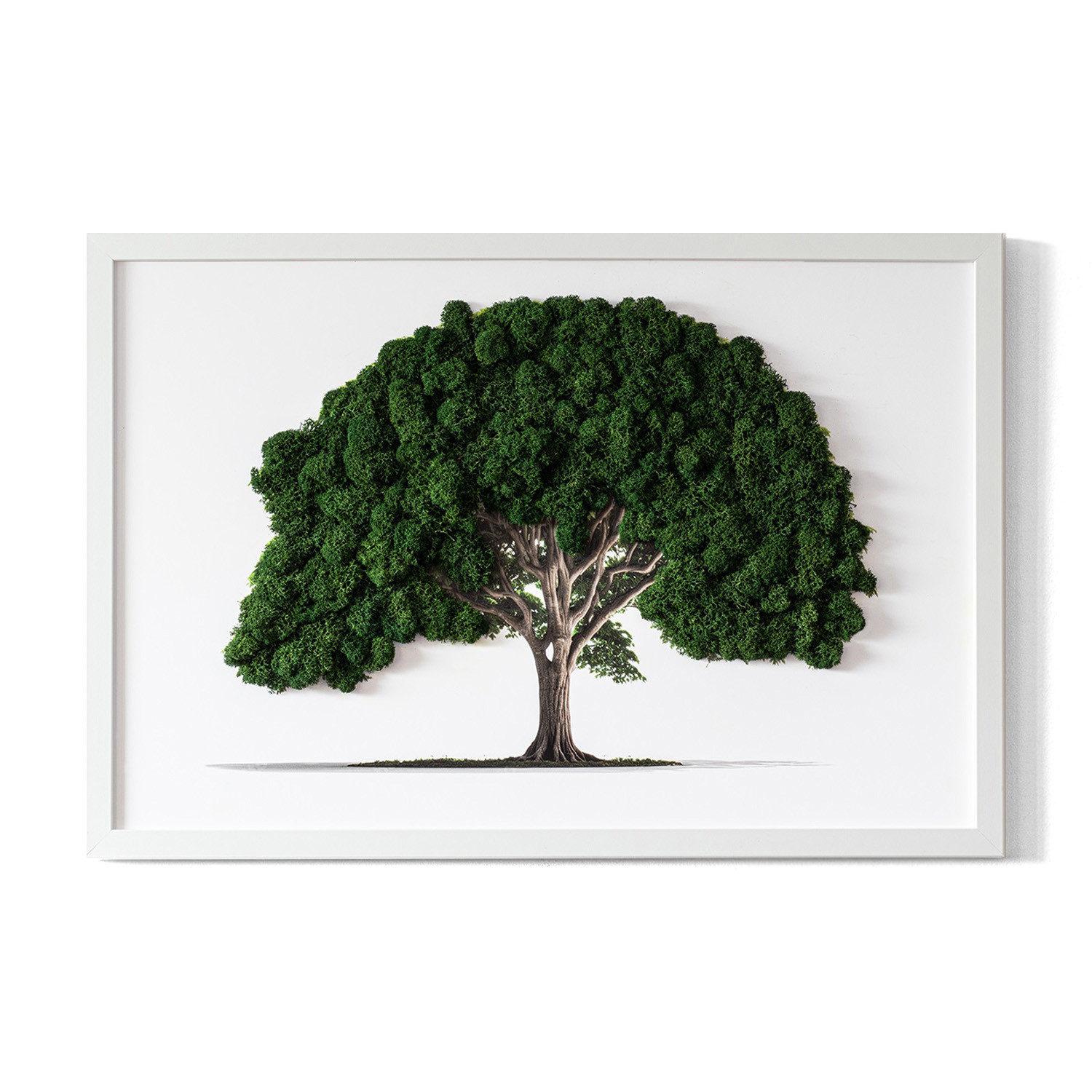 Obraz z mchem - Drzewo na białym tle 60x40 cm Biała Rama