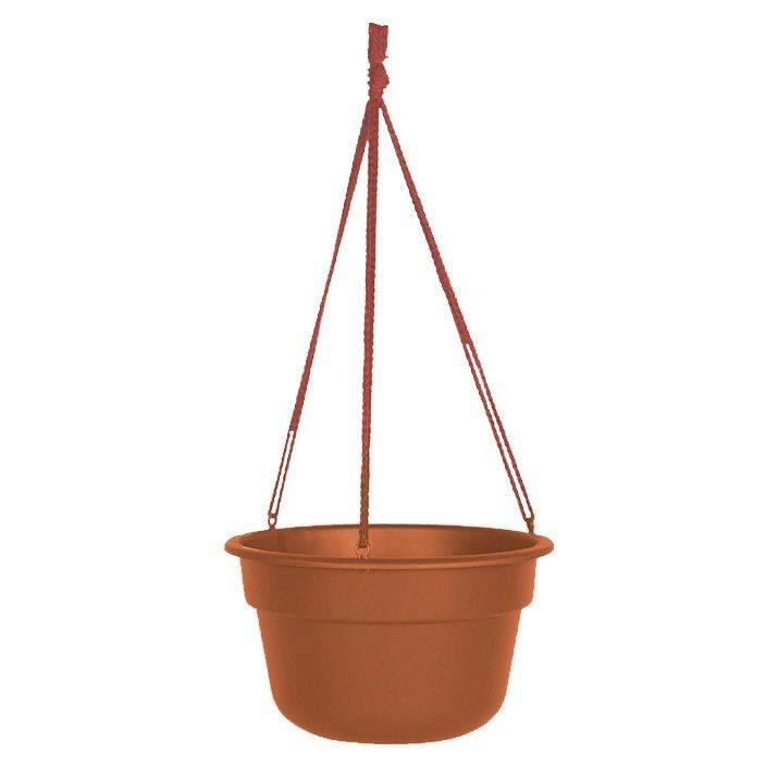 Bloem Dura Cotta Hanging Round Basket Planter, 12-in, Assorted Colours