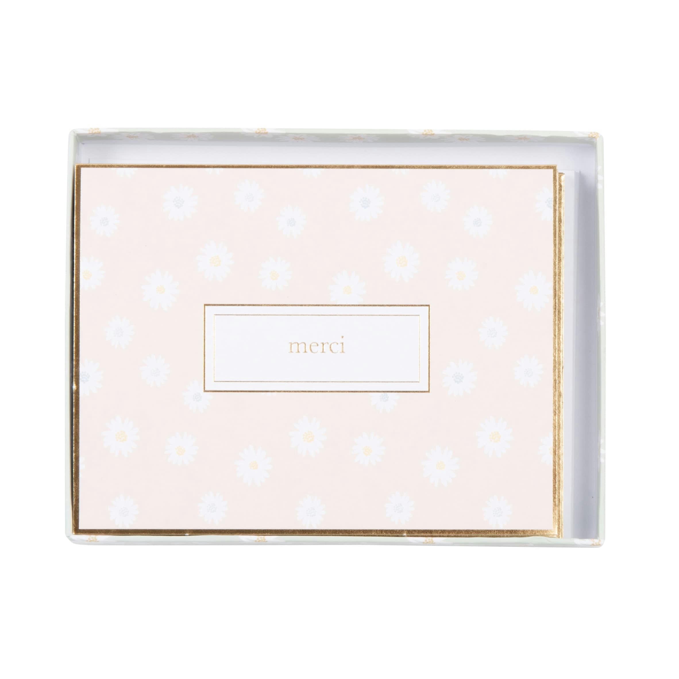 DAISY - Cartes inscription multicolores (x6)