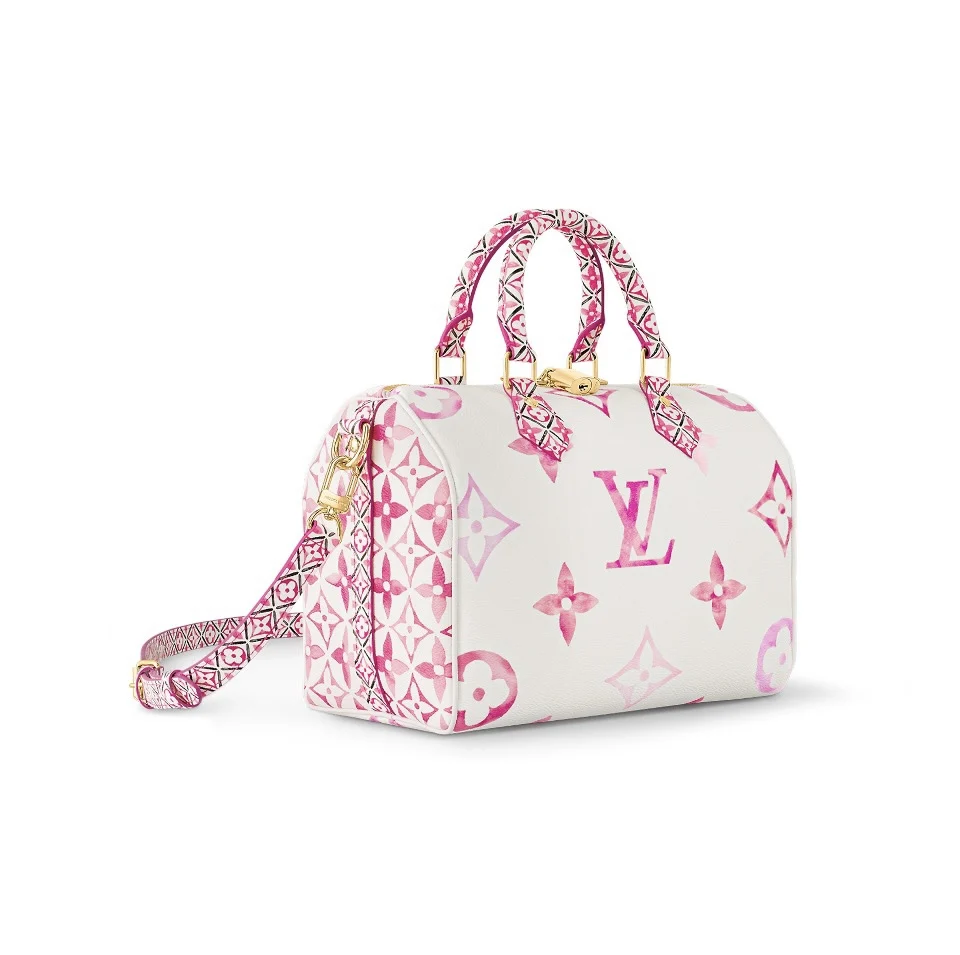 Louis Vuitton LV Speedy 25
