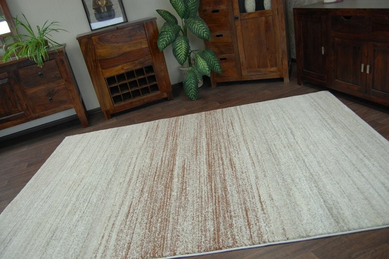 Dywan SHADOW 8622 rust / cr 120x170 cm
