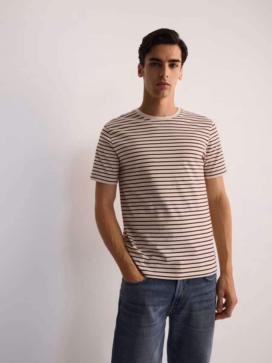 Regular Fit Stripe T-Shirt