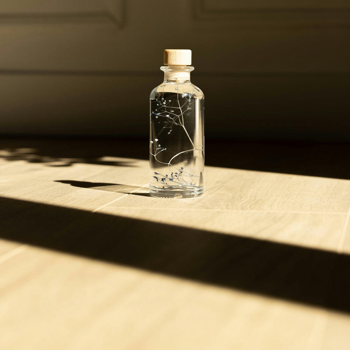 HERBARIUM DE THEOPHILE - Plante immergée Gypsophile bleue