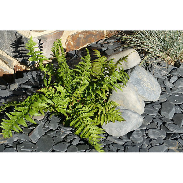 Gros Galet NOIR Mat 100-200 - pack 5 Galet