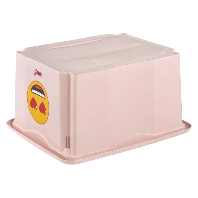 Aufbewahrungsbox Karolina