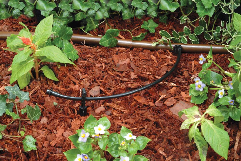 Rain Bird Drip Distribution Tubing, 1/4-in x 100-ft