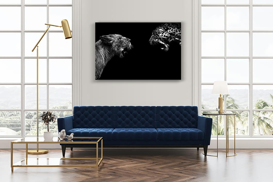 FÉLIDÉS - Photographie d'art de Guillaume Mordacq 30x45 cm sur alu