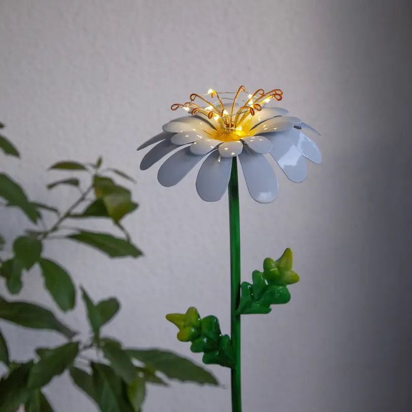 Solarleuchte Daisy