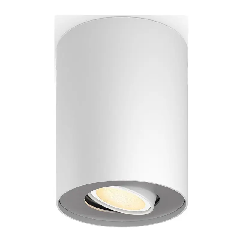 Spot Philips Hue
