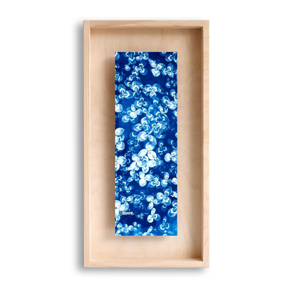 CARPË - Cadre en bois cyanotype trèfle 40x20cm