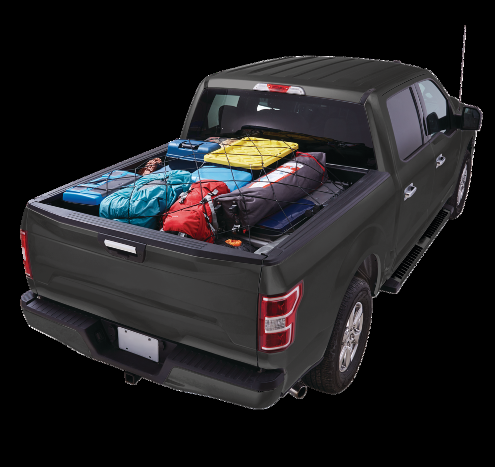 MotoMaster Bungee Cargo Net, 36-in x 48-in