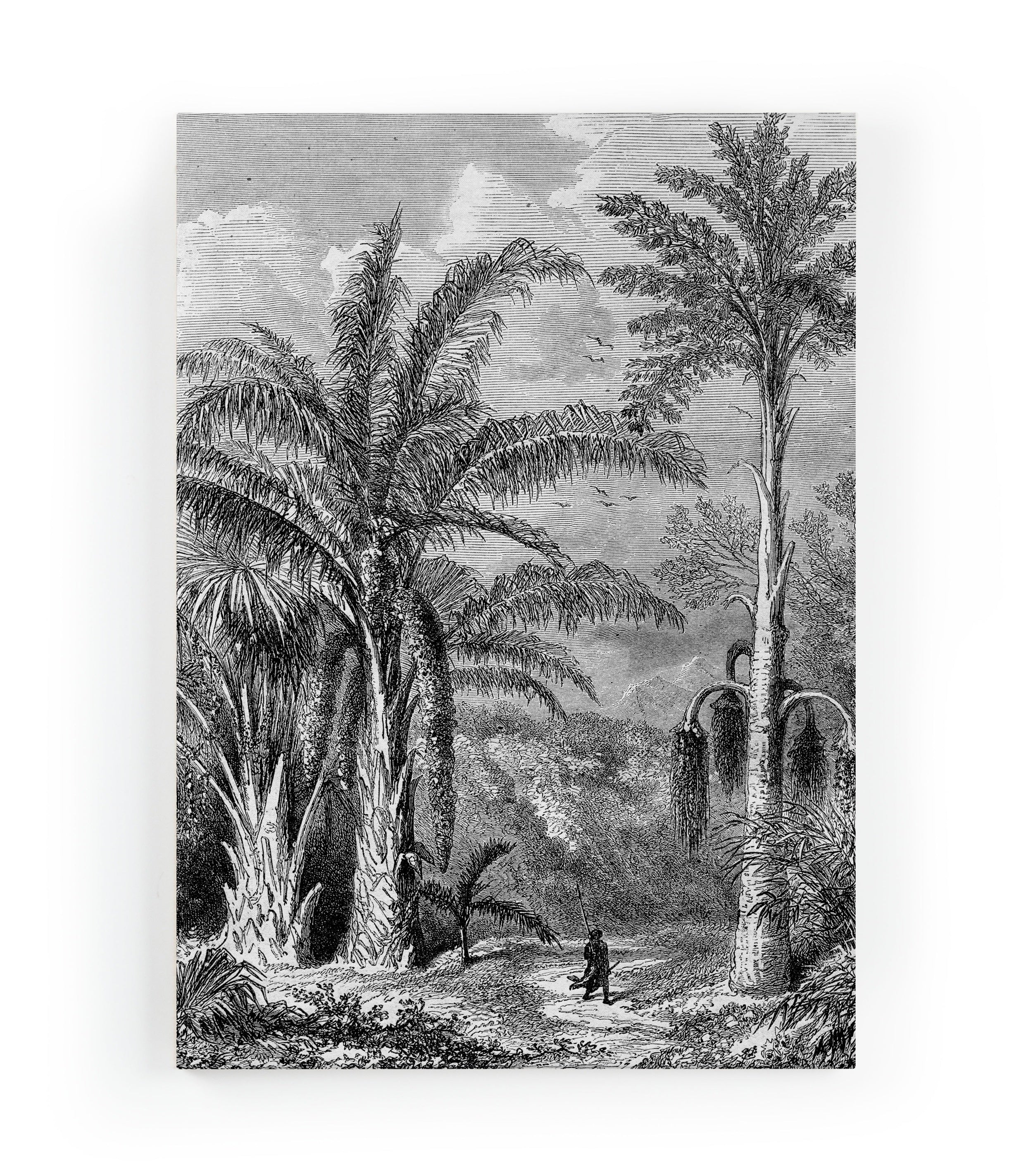 Canvas 60x40 Wandeling door de Jungle