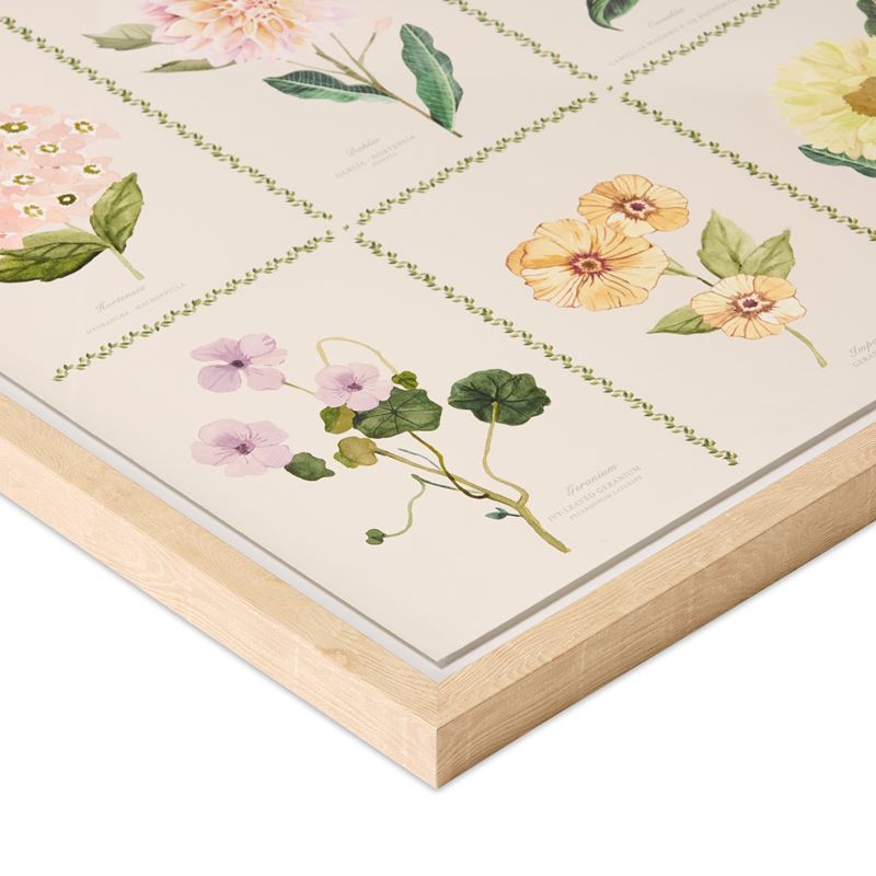 Botanicus Multi Framed Wall Art