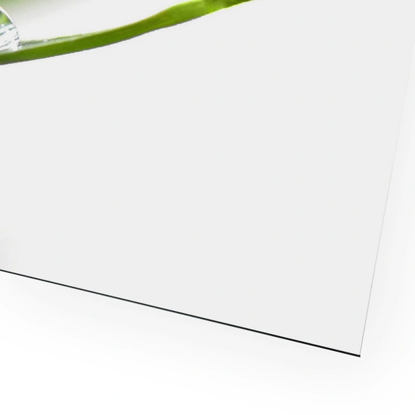 Badrückwand »Fresh«, BxH:90 cm x 45 cm, grün