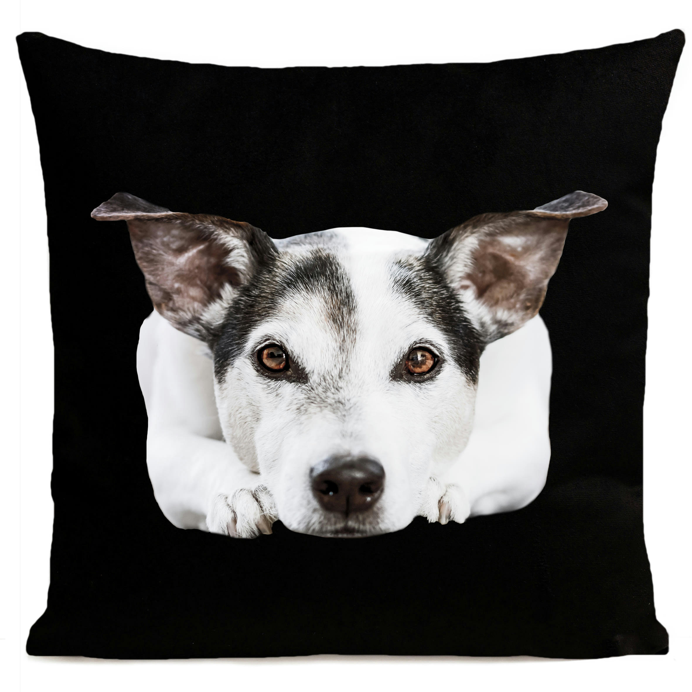 - Coussin chien jack russel suédine noir 40x40cm