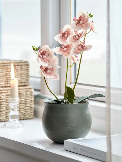 Kunstig plante GUDJON H35cm hvid orkidé
