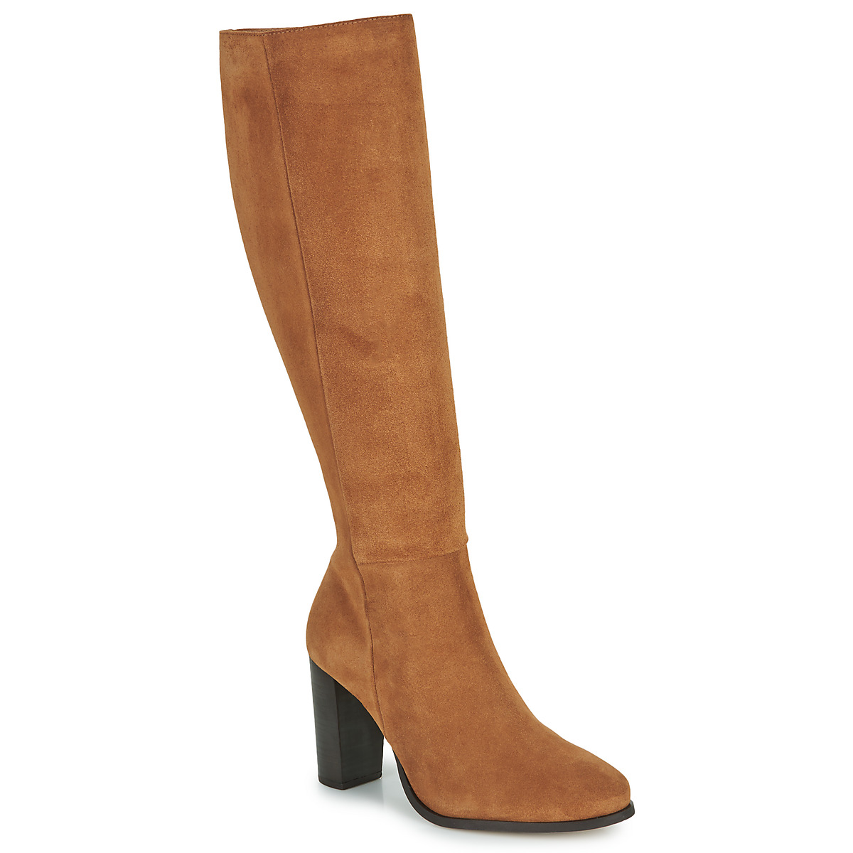 Fericelli - AMSONIA - Camel