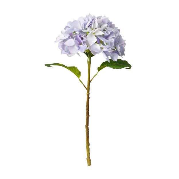 FLOR FLORENCE HORTÊNSIA