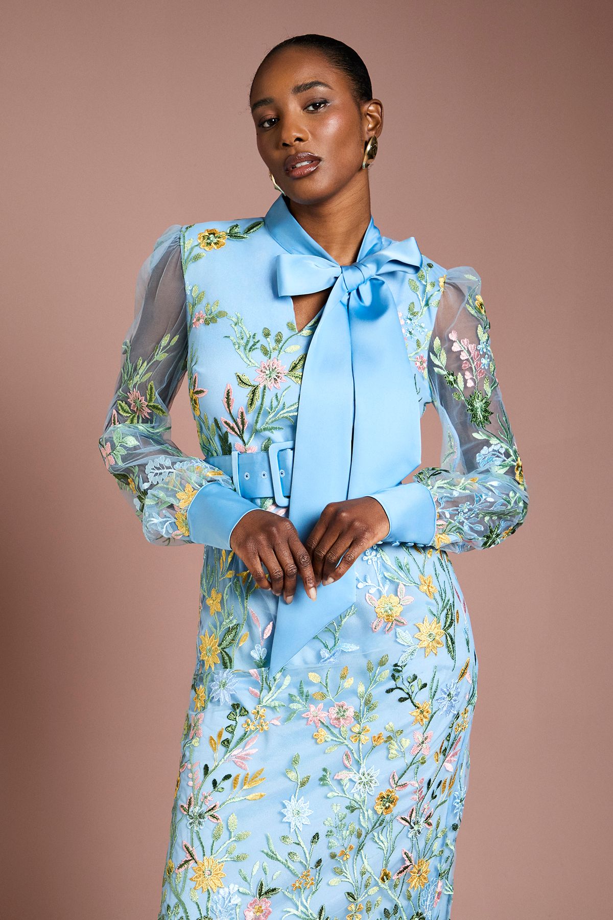 Coast Embroidered Mesh Pussybow Midi Dress