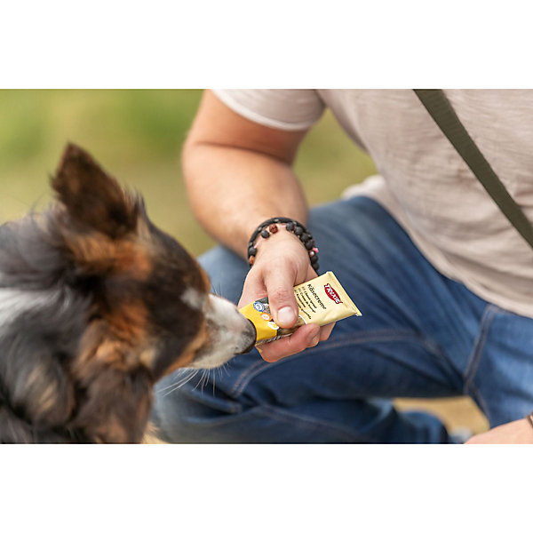 friandise Crème de fromage tube de 75 g pour chien
