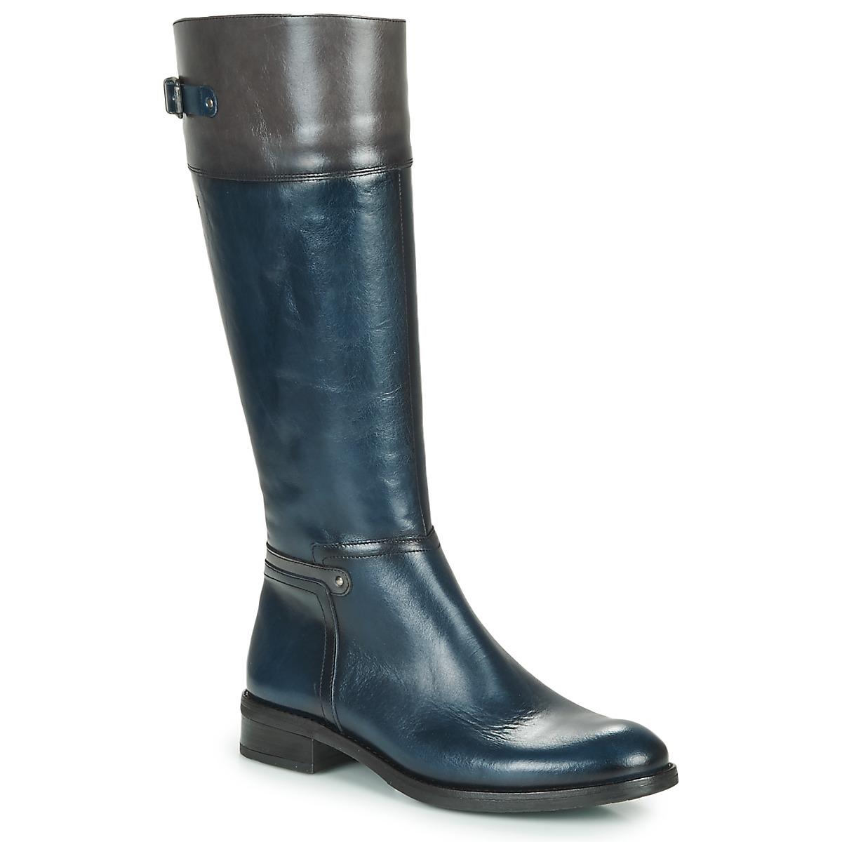 Dorking - TIERRA - Blue / Grey