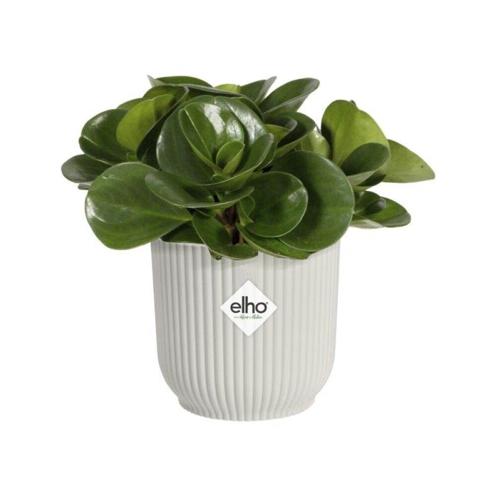 INNEPOTTE ELHO VIBES FOLD ROUND MINI Ø11CM HVIT