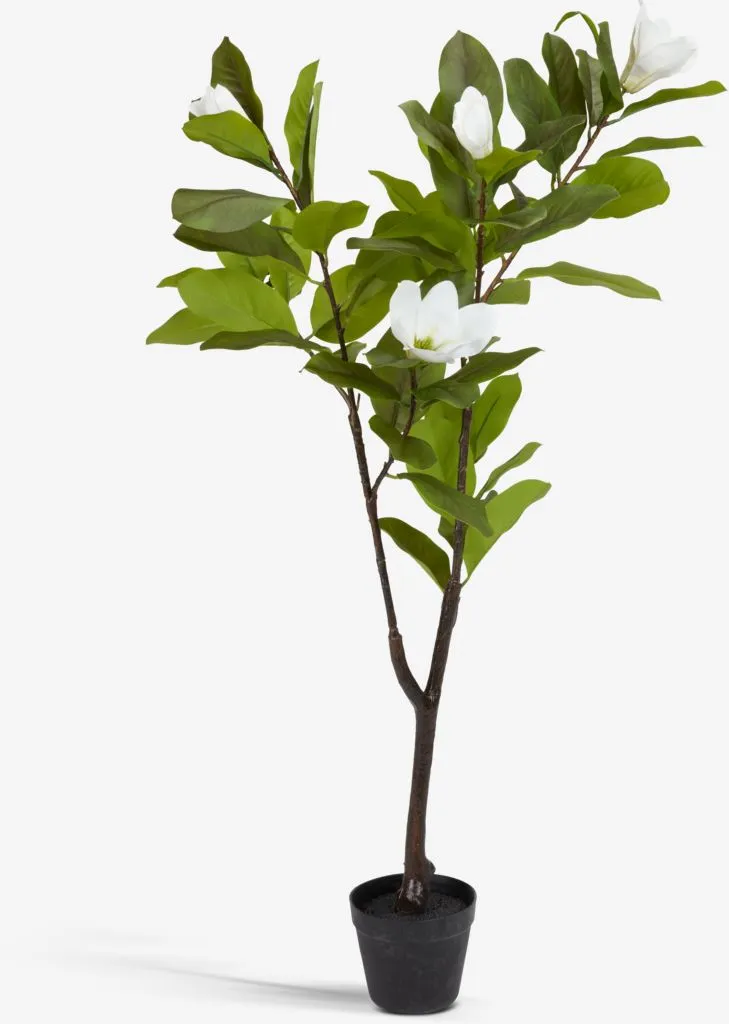 SPINDEL