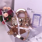 Dior The LADY D-LITE Bag
