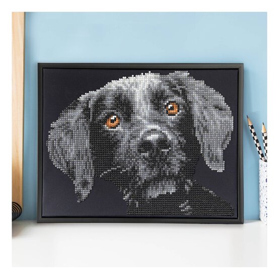 Diamond Dotz Pepper Kit 29cm x 23cm