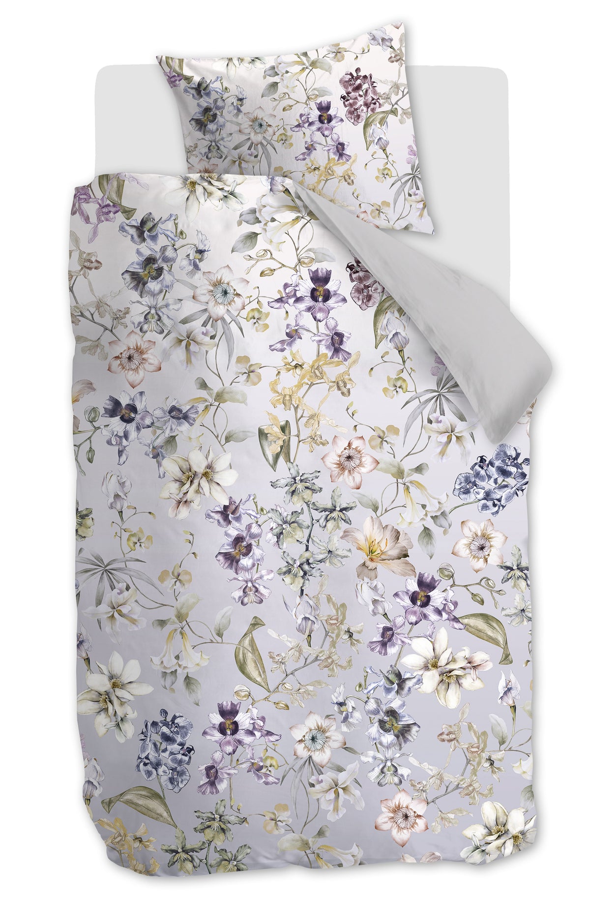 Kardol Branche - 140 x 200/220 cm - Grey Green