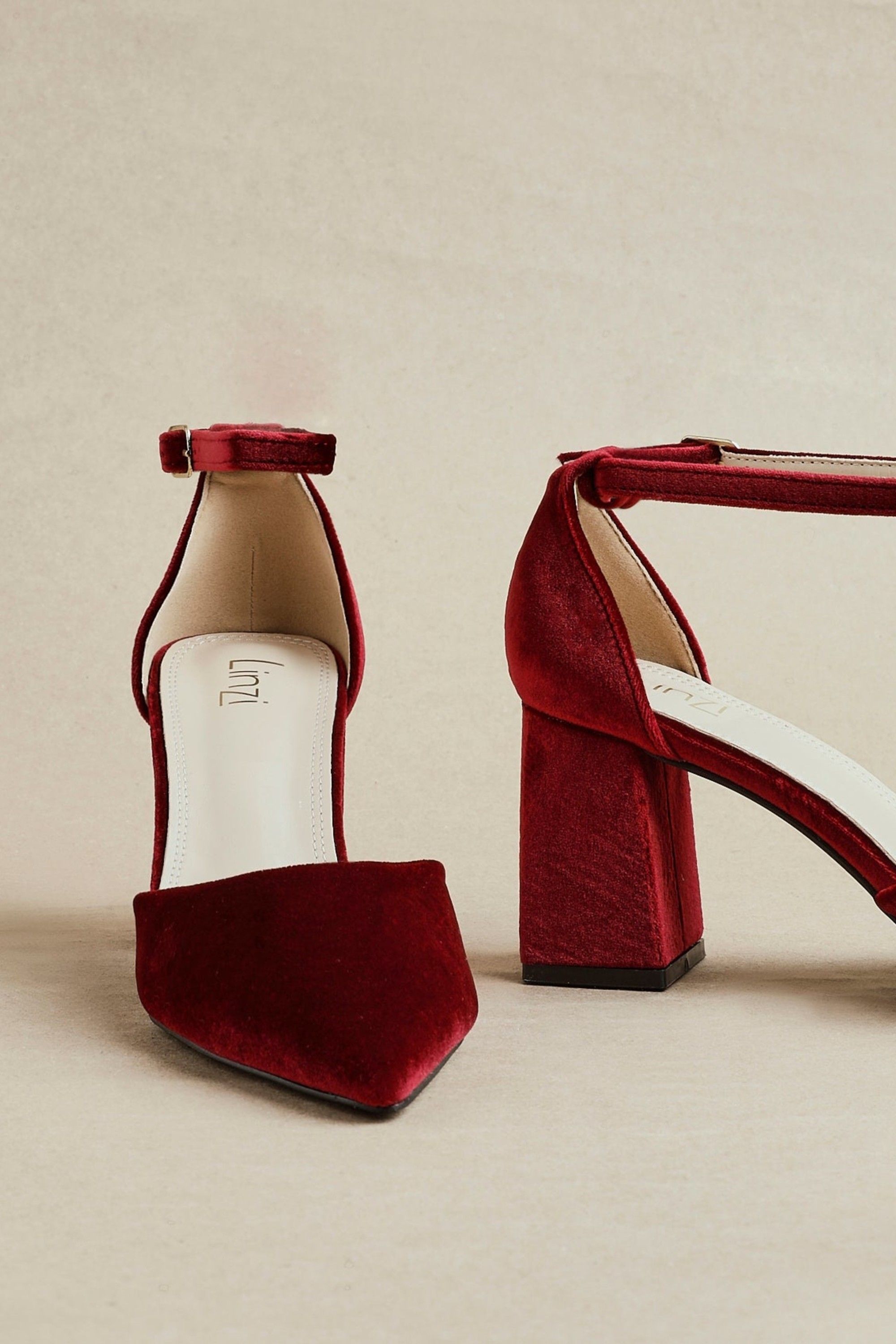 Linzi Glam Burgundy Velvet Pointed Block Heel Courts