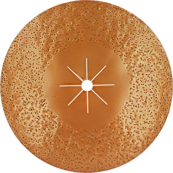 DISQUE DOUBLE FACE SOL 400X25/8 GR24 CAR.TUNGSTENE - 5740024 - LEMAN