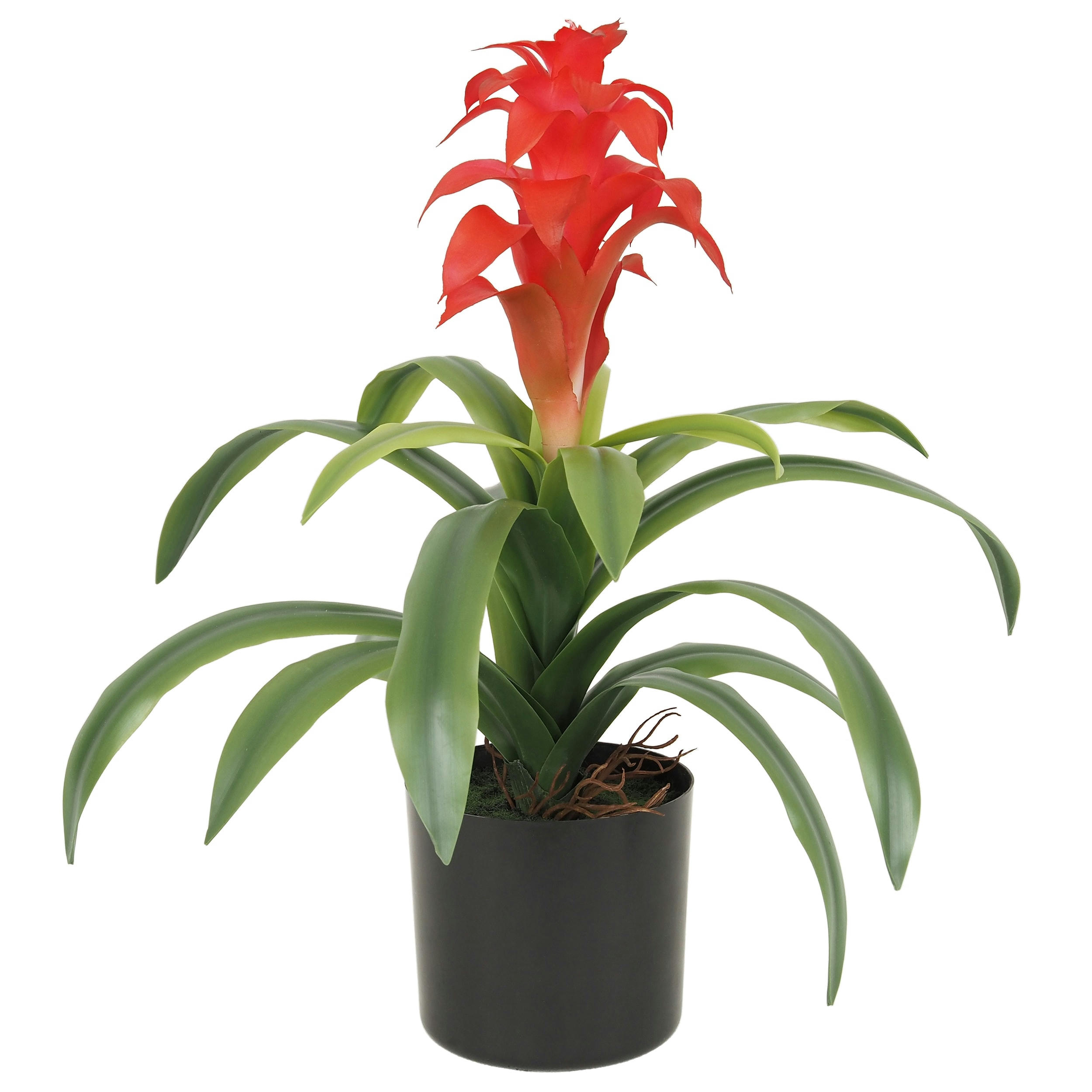- Guzmania artificielle toucher naturel 45cm