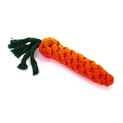 TIAKI Carrot Dog Toy