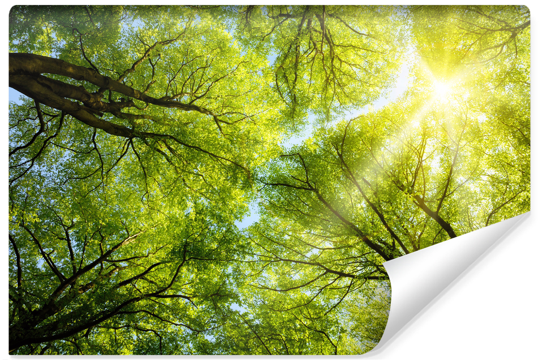 Fototapeta Do Salonu Niebo LAS Natura 3D 90x60cm