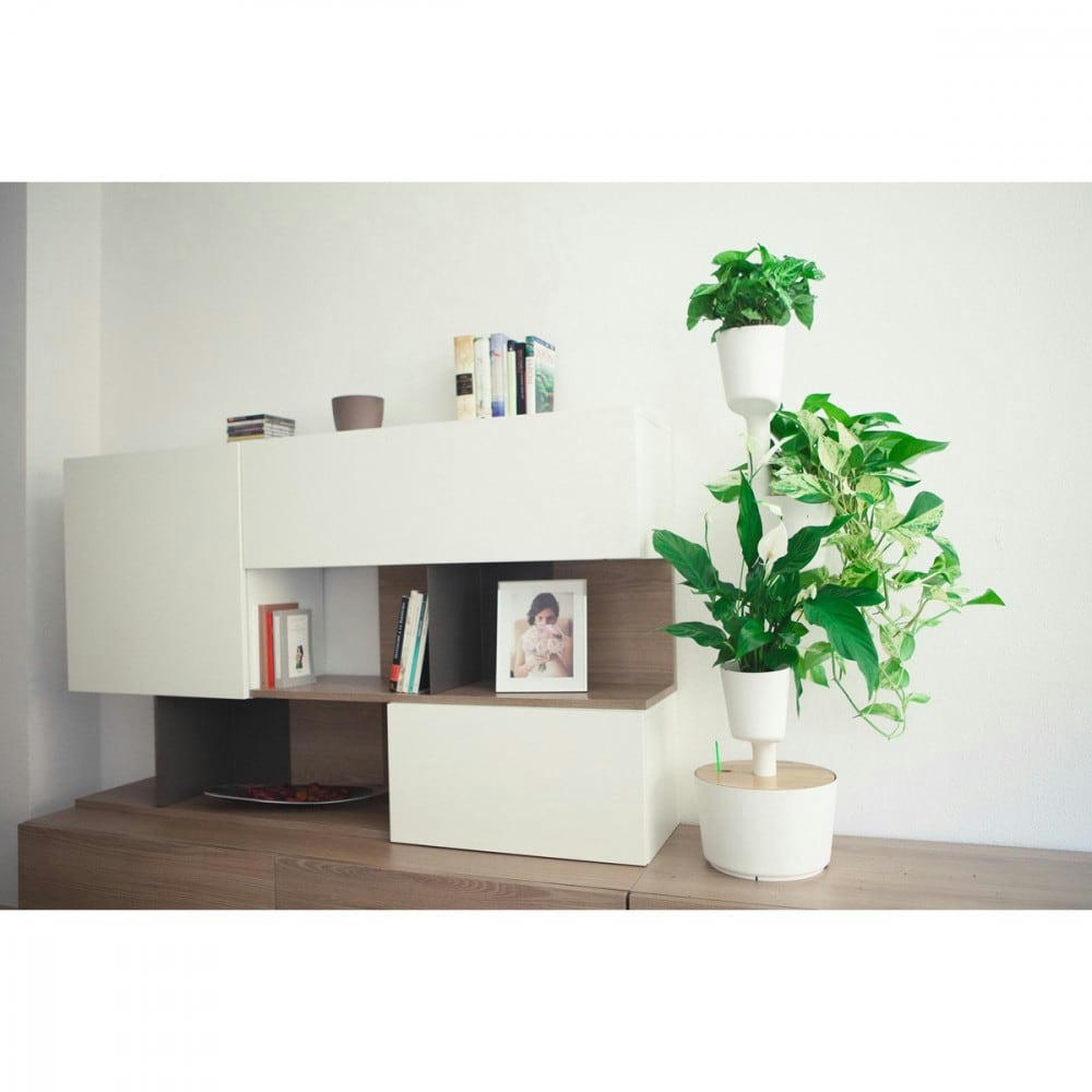 - Jardin d'intérieur avec 3 plantes dépolluantes et arrosage auto blanc