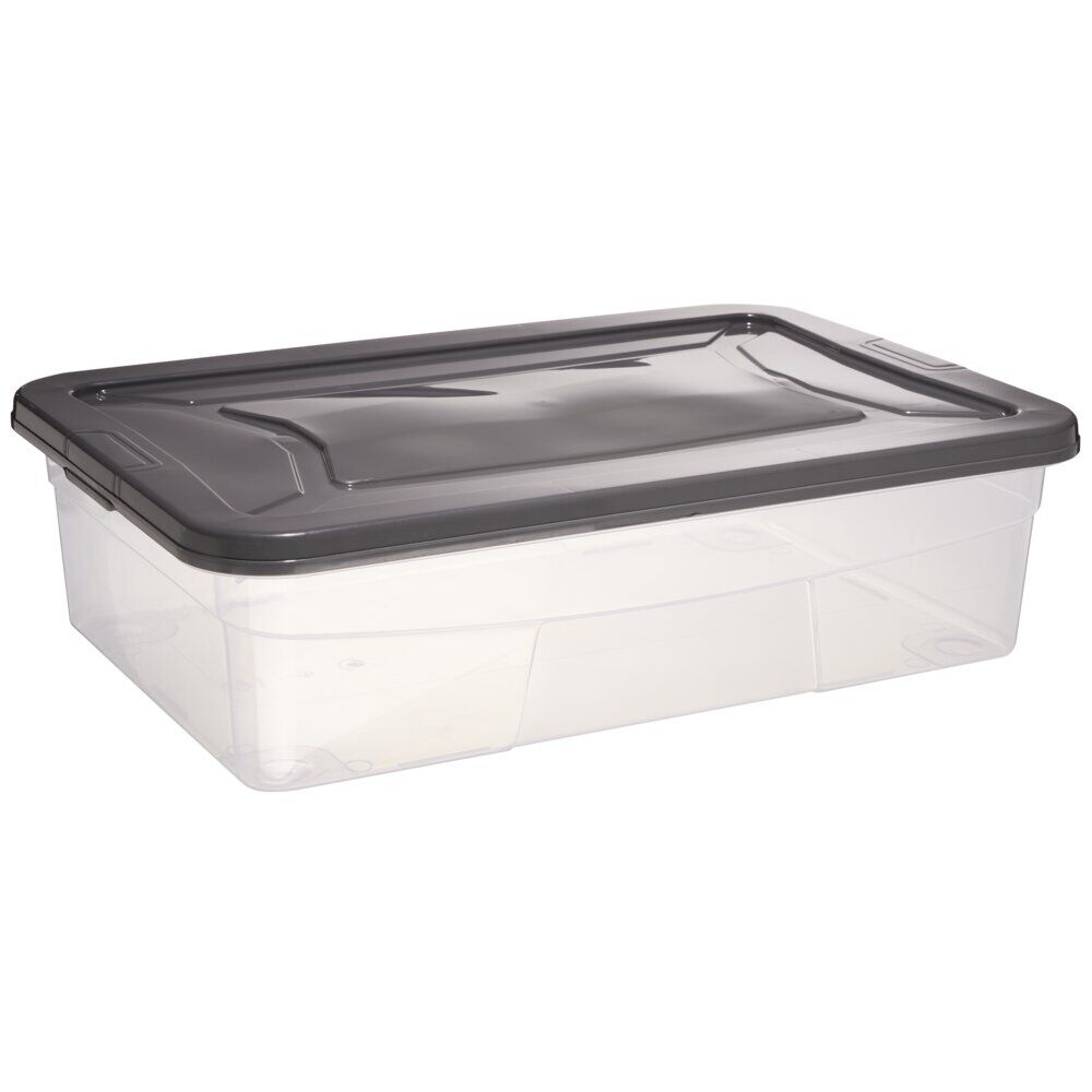 Box dessous de lit transparent et gris 30L