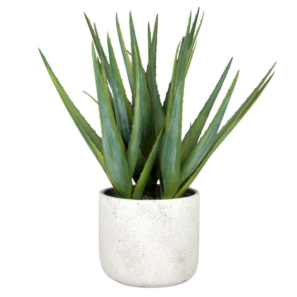 - Aloe artificiel en pot