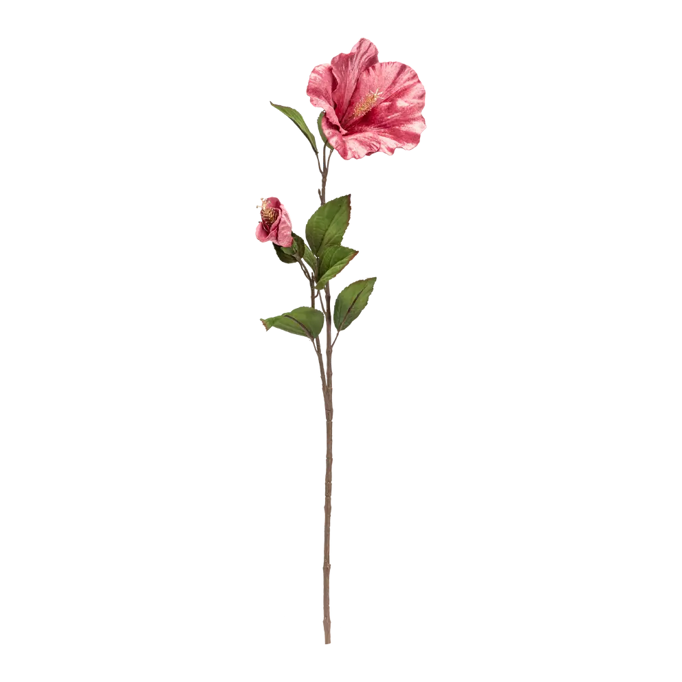 Dekozweig Exotica