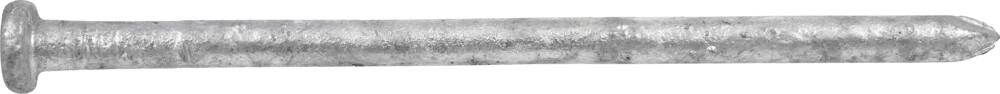 Hillman Galvanized Common Framing Nail, Exterior Application, 10-in