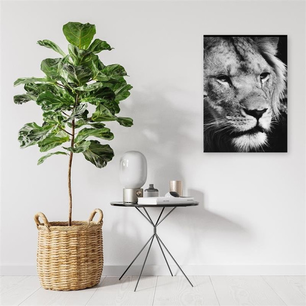 Feeby Obraz na płótnie Czarno-biały lew 40x60