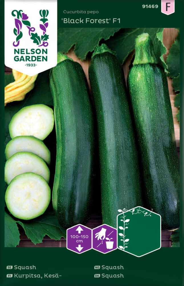 GRØNNSAKSFRØ NELSON GARDEN SLYNGSQUASH BLACK FOREST F1