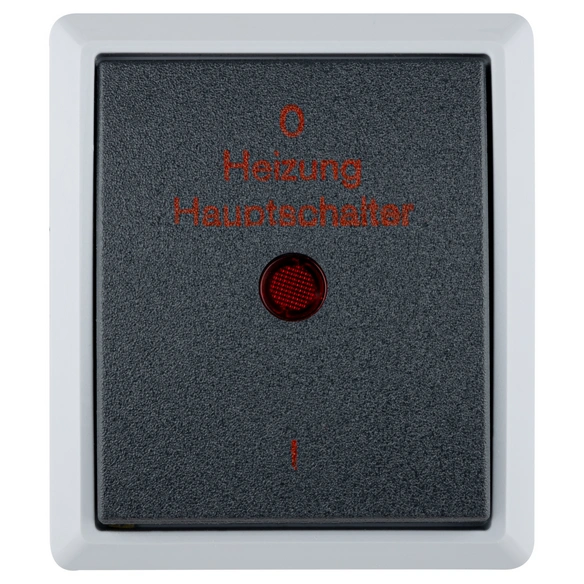 Schalter, AquaForm, 250 V, Grau