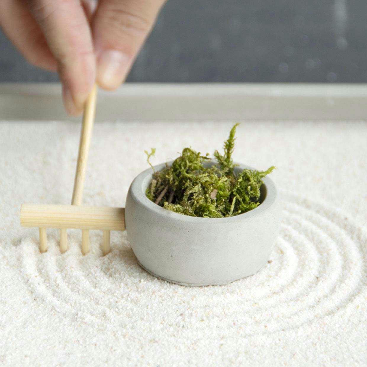 - Jardin zen rond 24 cm