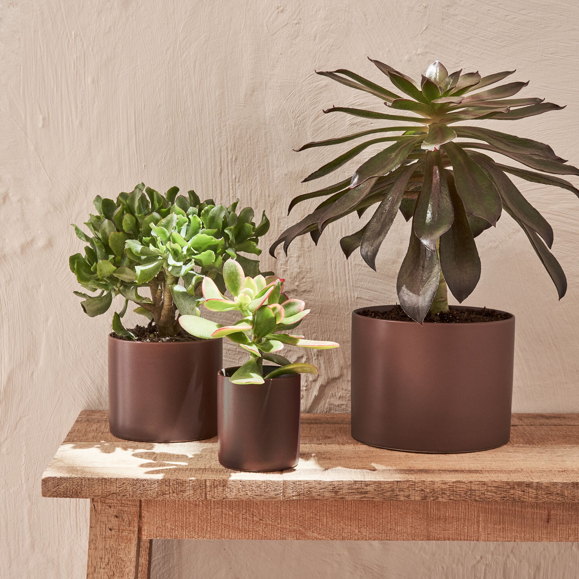 MARTIN - Cache-pot en céramique D7xH7,5cm - brun rhassoul