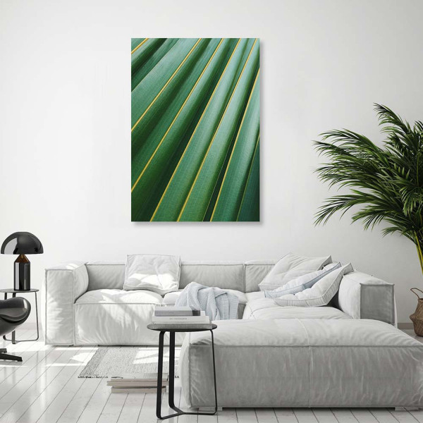Feeby Obraz na płótnie Fragment liścia palmy 40x60
