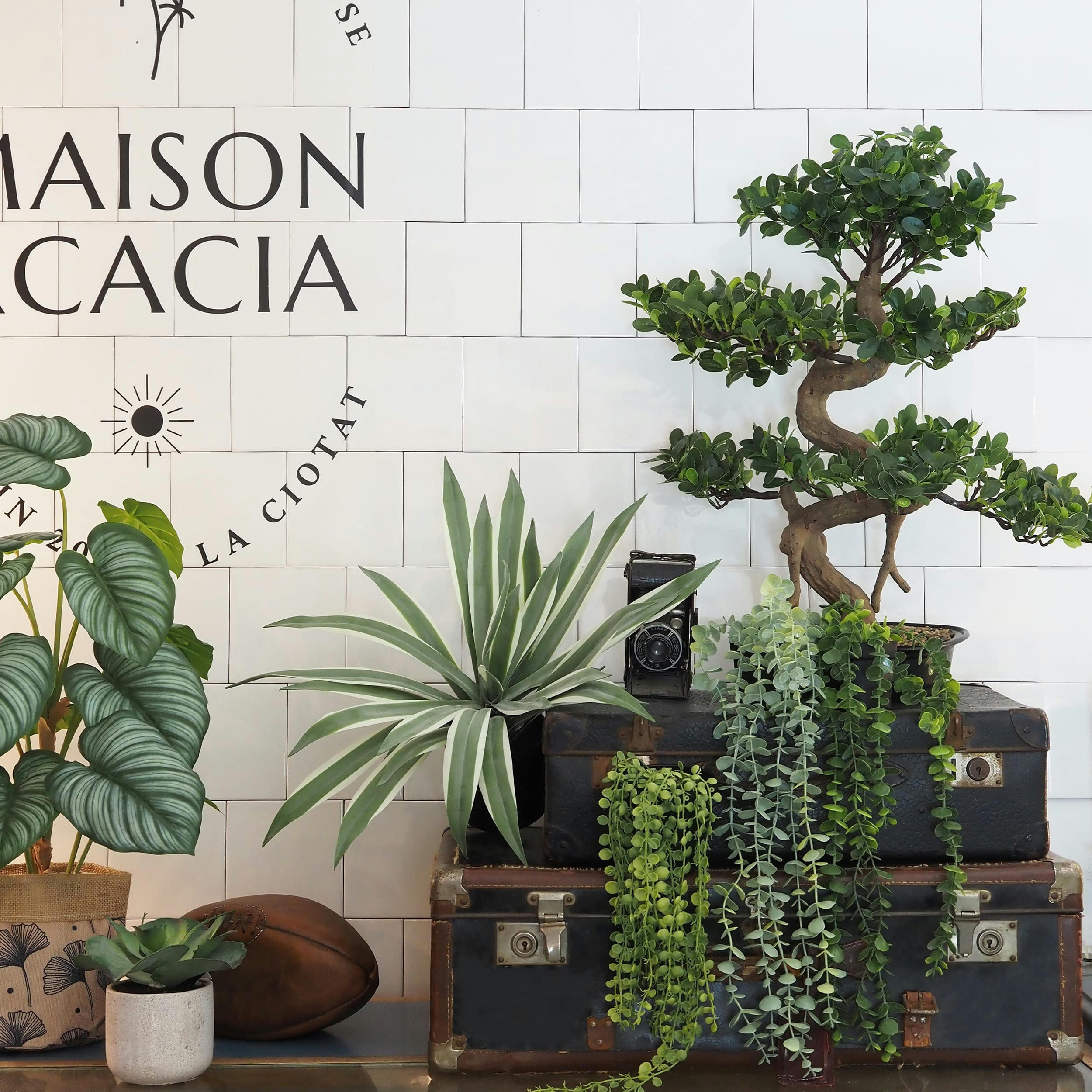 - Bonsaï artificiel buisson cajeput 70cm